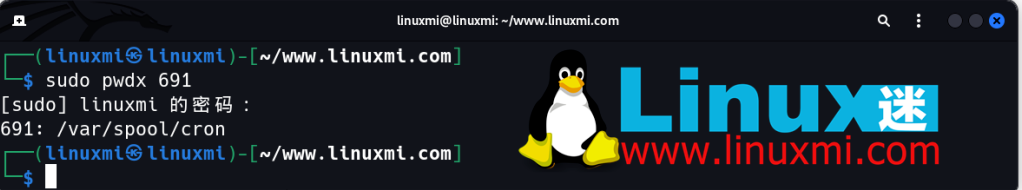 有趣的宝藏！6 个你独特而惊人的 Linux 实用工具
