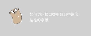 如何访问接口类型数组中嵌套结构的字段