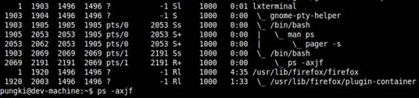 Eingehende Untersuchung der Prozessanalysetechnologie unter Linux!