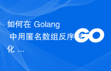 如何在 Golang 中用匿名数组反序列化 json？