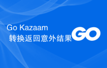 Go Kazaam 转换返回意外结果