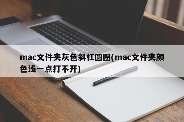 회색 슬래시 원이 있는 mac 폴더(밝은 색상의 mac 폴더는 열 수 없음)