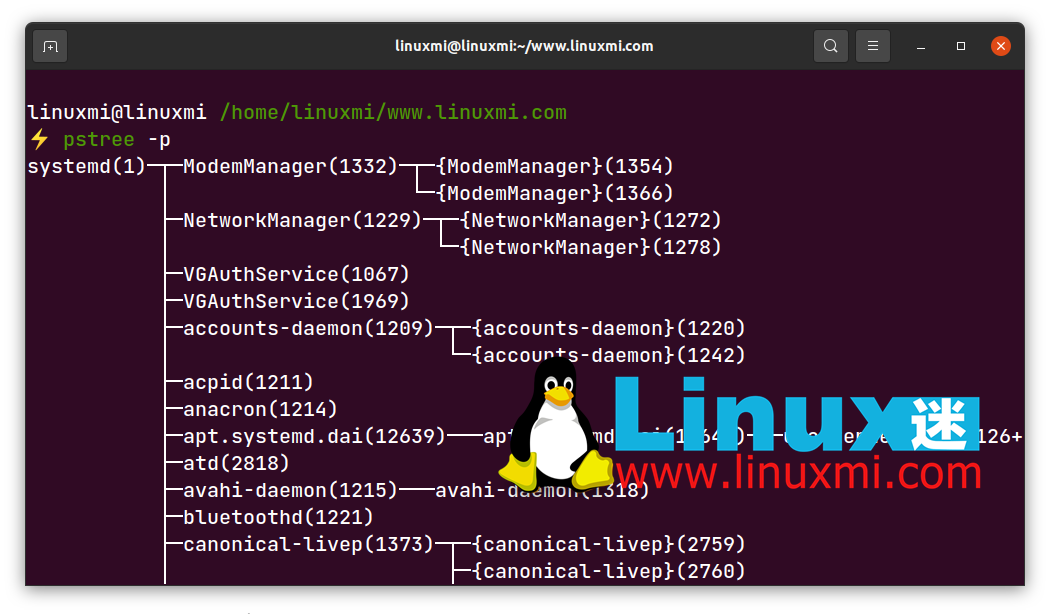 How to find parent process PPID in Linux?