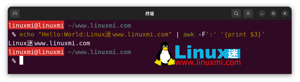 Text processing artifact under Linux: Detailed explanation of AWK command