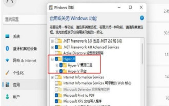 Lösung zum Absturz und Einfrieren einer Win11-laufenden virtuellen VMware-Maschine