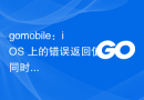 gomobile：iOS 上的错误返回值同时具有 NSError 和布尔返回值
