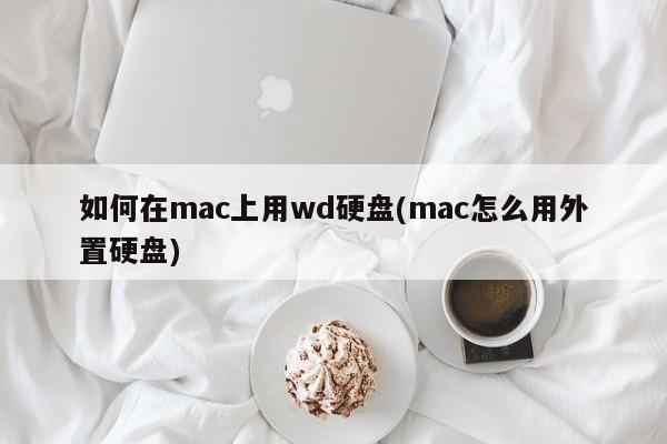 Mac で wd ハードドライブを使用する方法 (Mac で外付けハードドライブを使用する方法)