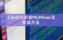 CentOS安装MUMmer及安装方法