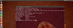 Linux内核版本控制方案给你讲明白