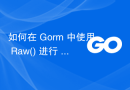 如何在 Gorm 中使用 Raw() 进行 Preload() ？