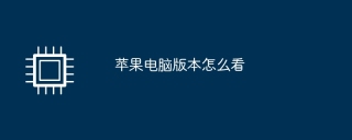 So lesen Sie die Apple-Computerversion