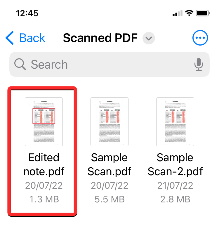 如何在 iPhone 上锁定 PDF 文件