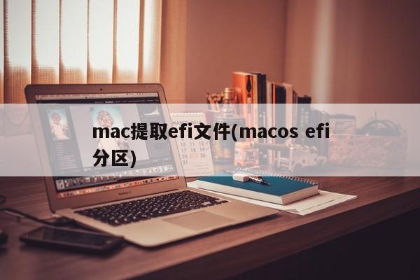 mac efiファイル（macos efiパーティション）を抽出します