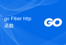 go Fiber http 函数