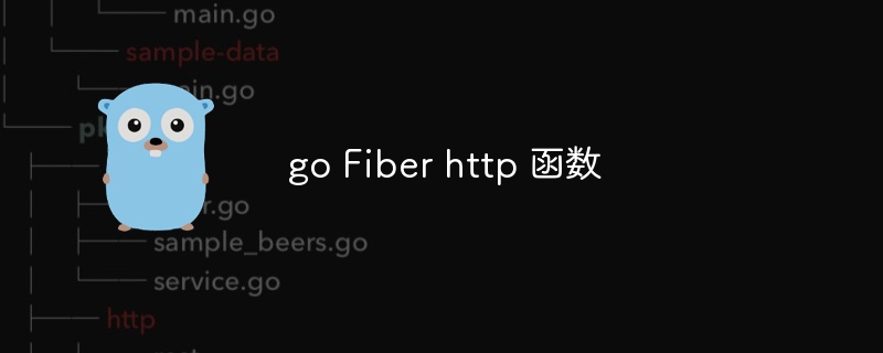 go fiber http 函数