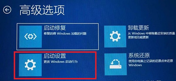 Apakah yang perlu saya lakukan jika resolusi Win11 dilaraskan secara salah dan skrin menjadi hitam? Ralat resolusi Win11 penyelesaian skrin hitam