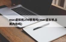 mac虚拟机256够用吗(mac虚拟机占用内存吗)