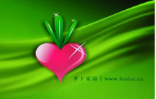 萝卜家园的系统怎么样