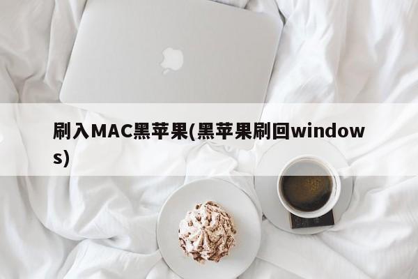 刷入MAC黑苹果(黑苹果刷回windows)