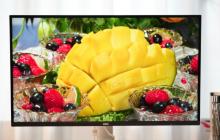 miniled是什么意思