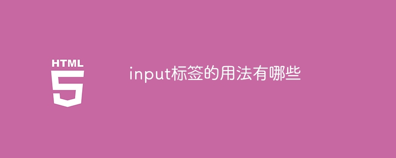 さまざまな目的のためにどのような入力タグが存在しますか?