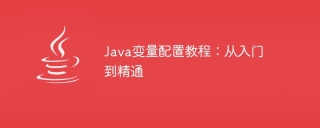 A Guide to Java Variable Configuration: From Beginner to Expert