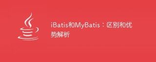 iBatis and MyBatis: Comparison and Advantage Analysis