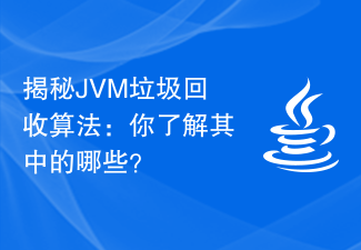 揭秘JVM垃圾回收算法：你了解其中的哪些？