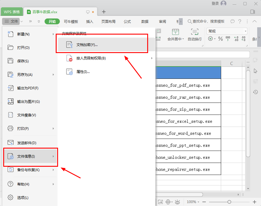 How to set a password in Excel?