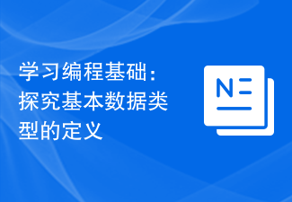 学习编程基础：探究基本数据类型的定义