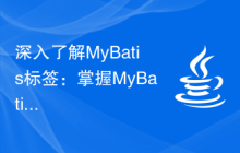 深入了解MyBatis标签：掌握MyBatis常用标签的功能和用法