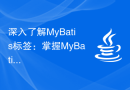 深入了解MyBatis标签：掌握MyBatis常用标签的功能和用法