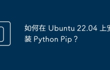 如何在 Ubuntu 22.04 上安装 Python Pip？