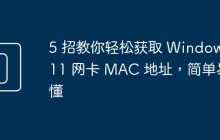 5 招教你轻松获取 Windows 11 网卡 MAC 地址，简单易懂