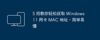 5 招教你轻松获取 Windows 11 网卡 MAC 地址,简单易懂