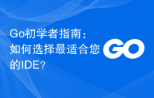 Go初学者指南：如何选择最适合您的IDE？