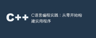 c语言编程实践：从零开始构建实用程序