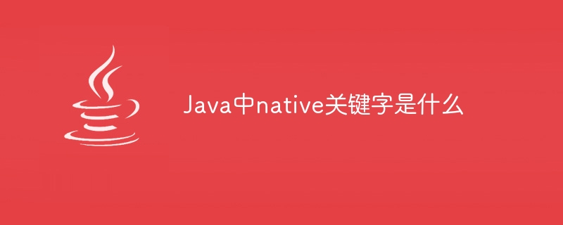 Was ist ein natives Schlüsselwort in Java?