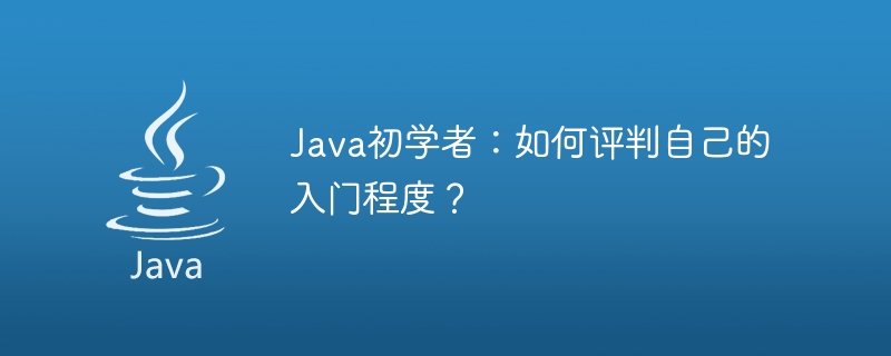 Java를 처음 접하는 경우: 학습 진행 상황을 측정하는 방법은 무엇입니까?