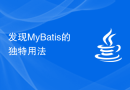 发现MyBatis的独特用法