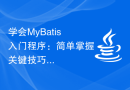 学会MyBatis入门程序：简单掌握关键技巧
