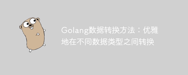 Golang資料轉換方法：優雅地在不同資料型別之間轉換