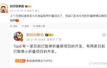 某 TOP5 手机厂商暂停折叠屏项目？OPPO 率先回应：折叠系列产品按计划推进