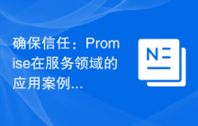 确保信任：Promise在服务领域的应用案例