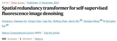 To remove noise in fluorescence images in a self-supervised manner, the Tsinghua team developed the spatial redundancy denoising Transformer method