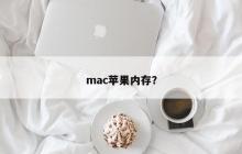 mac苹果内存？