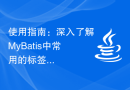 使用指南：深入了解MyBatis中常用的标签及注意事项