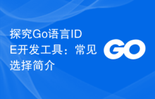 探究Go语言IDE开发工具：常见选择简介