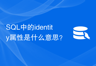 Was bedeutet das Identitätsattribut in SQL?
