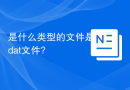是什么类型的文件是dat文件?